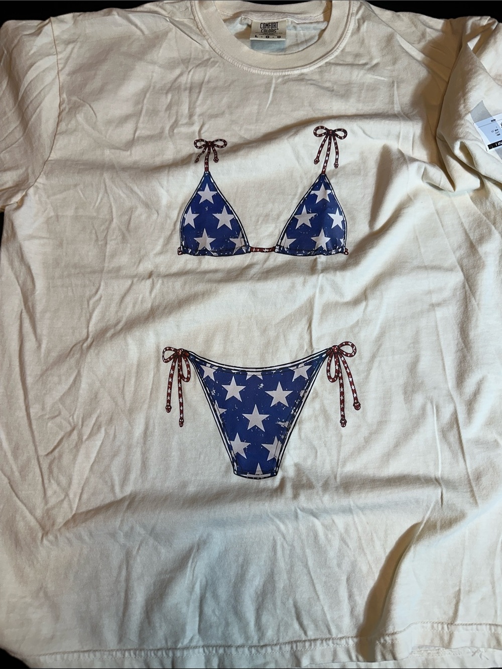 Comfort Colors Graphic Short Sleeve Tee in White & Blue